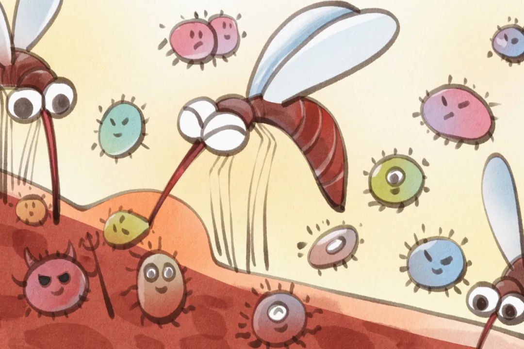 蚊虫提前防 夏日少烦忧 蚊虫提前防 夏日少烦忧