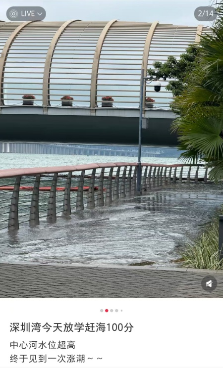 “深圳湾栈道被淹了！”水位高涨，重要提醒→