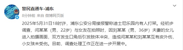 迪士尼乐园内有人打架,上海浦东公安分局通报 迪士尼乐园内有人打架,上海浦东公安分局通报