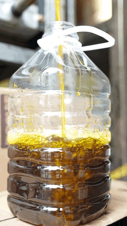 新货上市,不少杭州人餐餐都吃!浑身都是宝,有老板提前一年订下6吨 新货上市,不少杭州人餐餐都吃!浑身都是宝,有老板提前一年订下6吨