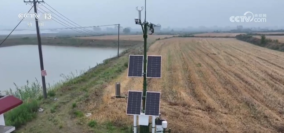 “三夏”小麦机收全面展开 智慧气象“抢”出麦收“加速度” “三夏”小麦机收全面展开 智慧气象“抢”出麦收“加速度”