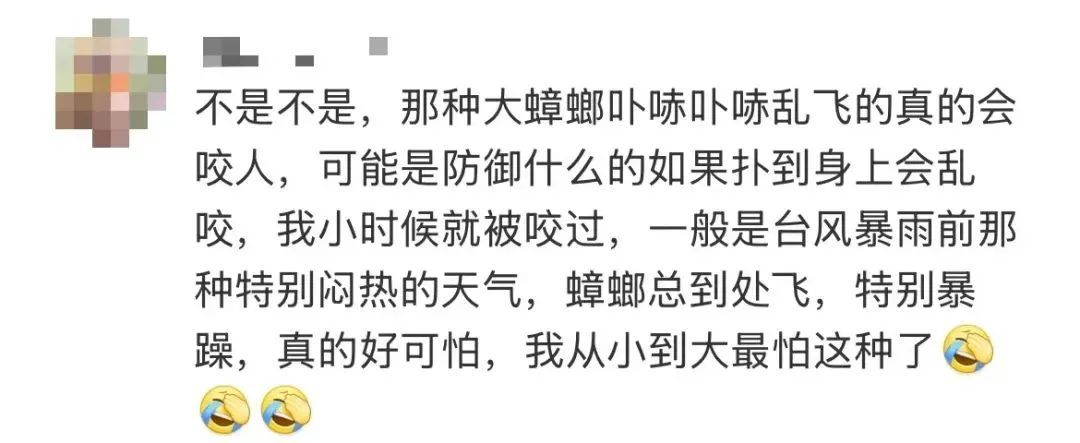 广东网友:“蟑螂会咬人”,疾控专家提醒→ 广东网友:“蟑螂会咬人”,疾控专家提醒→