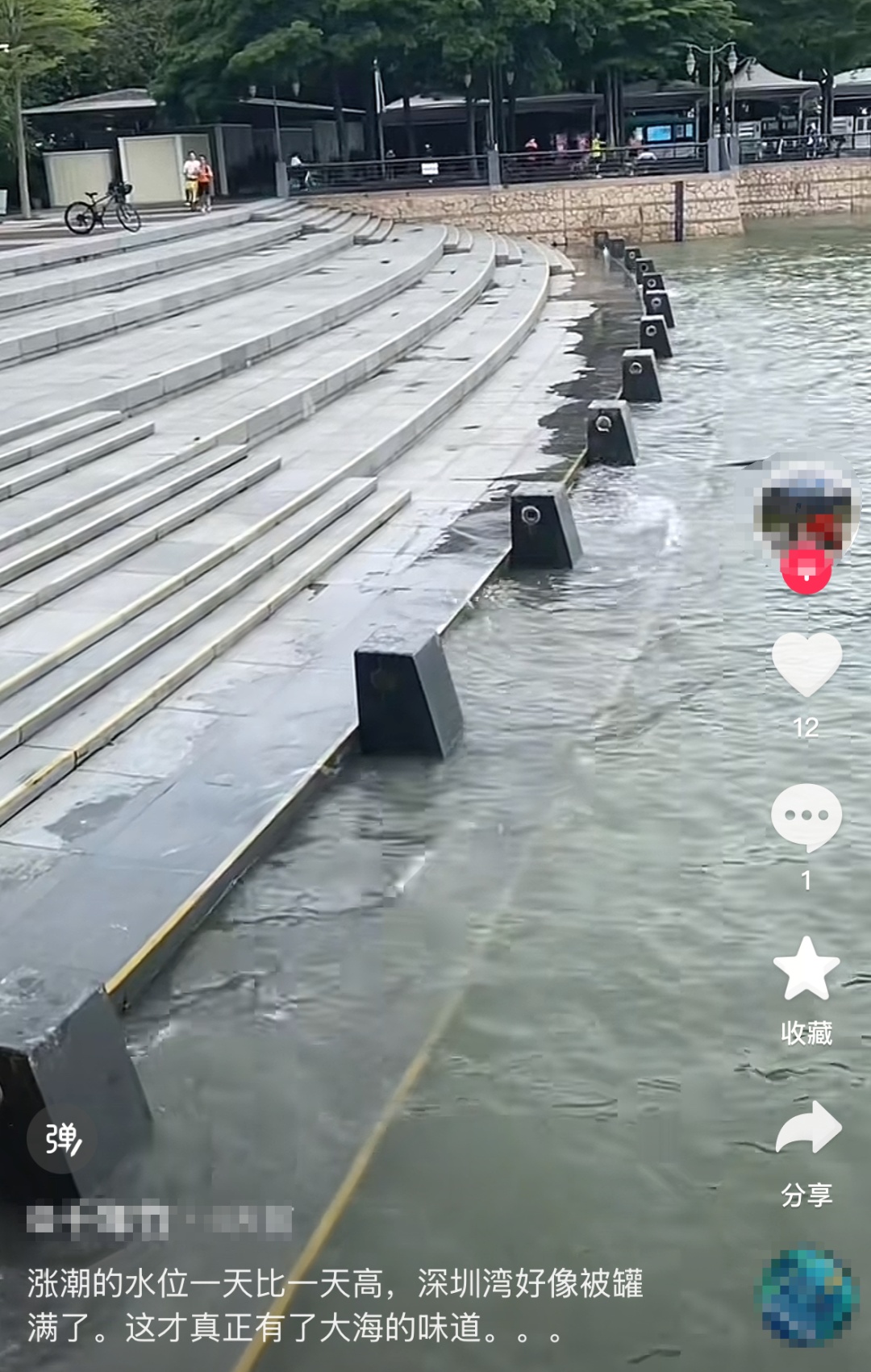 “深圳湾栈道被淹了！”水位高涨，重要提醒→