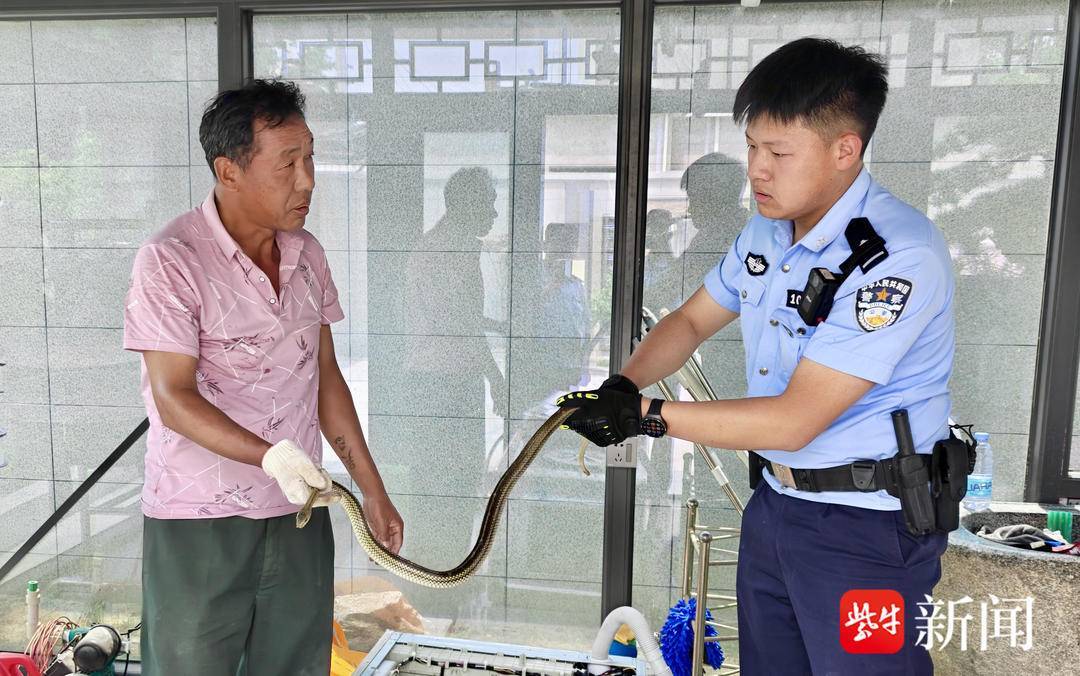 “您站远一些，不要好奇，以免造成伤害”，民警上演新版“捕蛇者说”