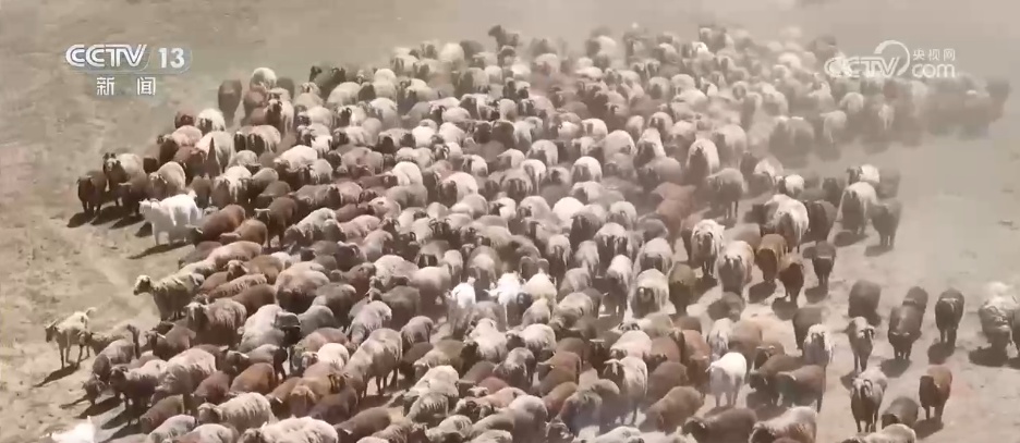 “商文旅”融合催热假日经济 “花样”民俗点燃消费市场新引擎 “商文旅”融合催热假日经济 “花样”民俗点燃消费市场新引擎