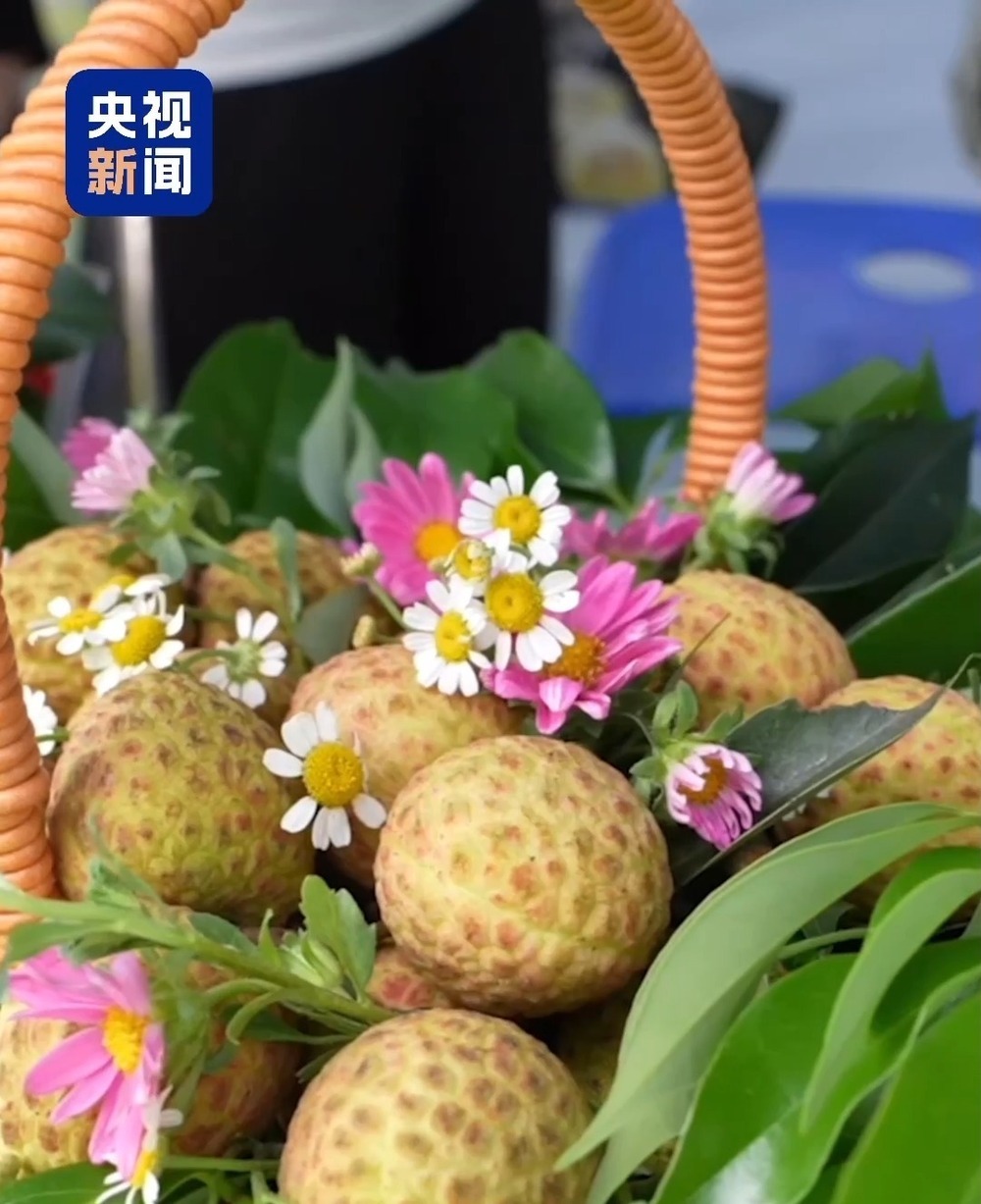 “粤”上新台阶丨水果千千万 广东人为何“独宠”荔枝? “粤”上新台阶丨水果千千万 广东人为何“独宠”荔枝?