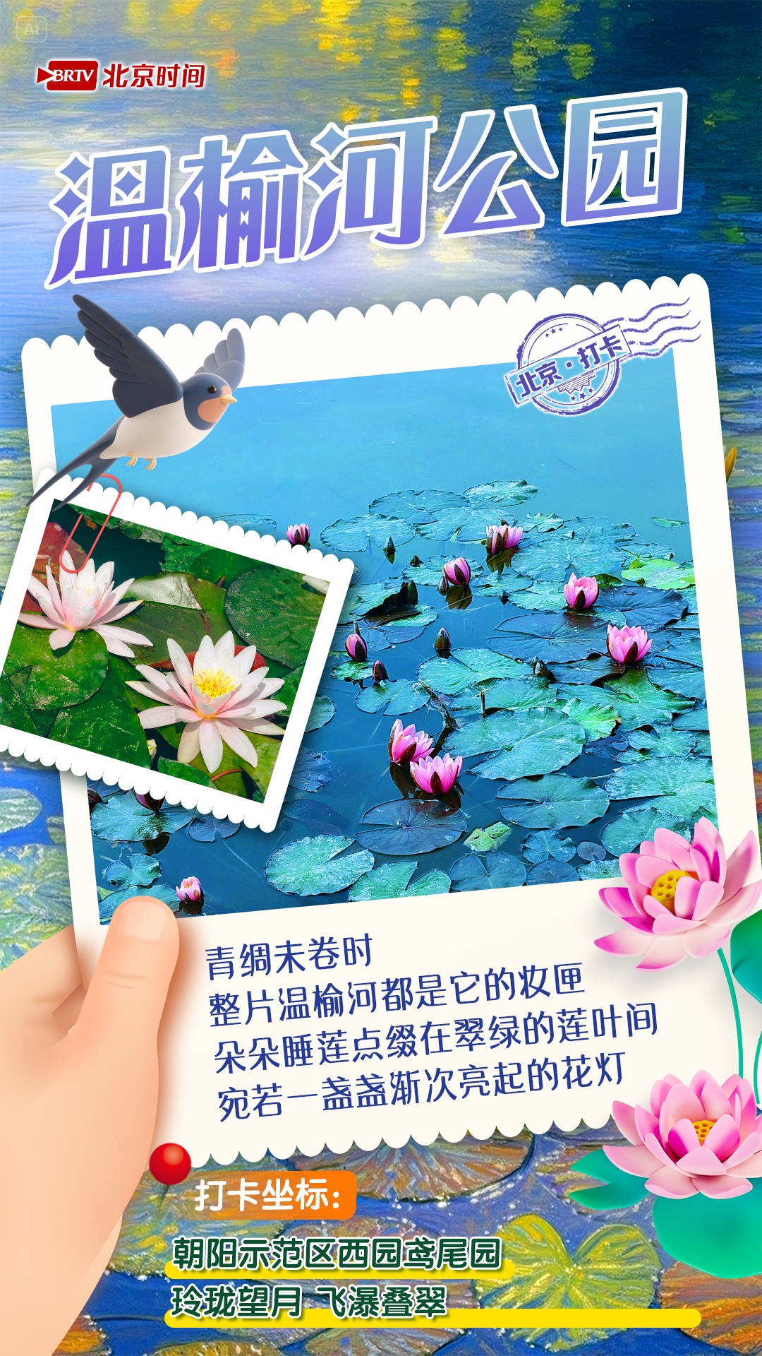 夏日限定!京城6大“莫奈花园”打卡指南来了 夏日限定!京城6大“莫奈花园”打卡指南来了