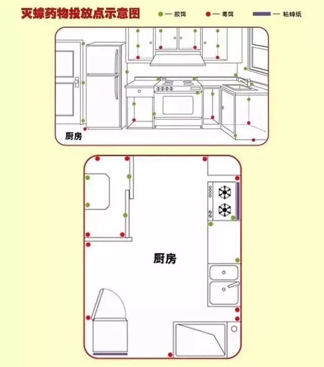“蟑螂咬人”冲上热搜！广东网友急了