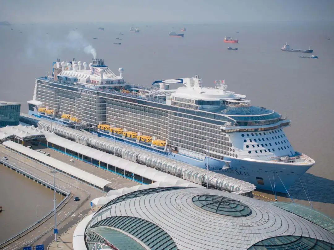 邮轮忙，引航也忙