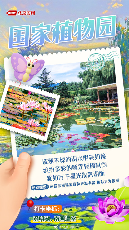 夏日限定!京城6大“莫奈花园”打卡指南来了 夏日限定!京城6大“莫奈花园”打卡指南来了