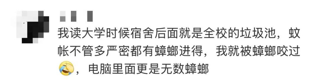 “蟑螂咬人”冲上热搜！广东网友急了