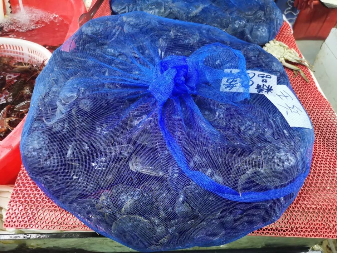 70多一斤,杭州人爱的这一口上市了!预计价格要降...... 70多一斤,杭州人爱的这一口上市了!预计价格要降......