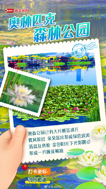 夏日限定!京城6大“莫奈花园”打卡指南来了 夏日限定!京城6大“莫奈花园”打卡指南来了