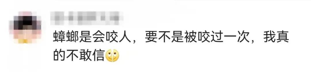 广东网友:“蟑螂会咬人”,疾控专家提醒→ 广东网友:“蟑螂会咬人”,疾控专家提醒→