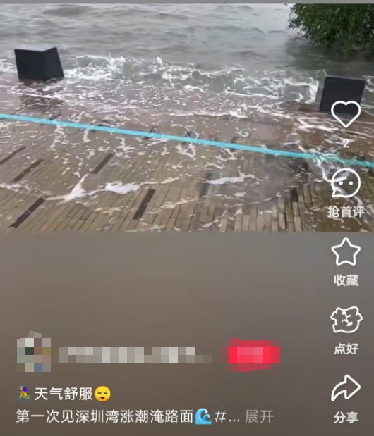 “深圳湾栈道被淹了！”水位高涨，重要提醒→