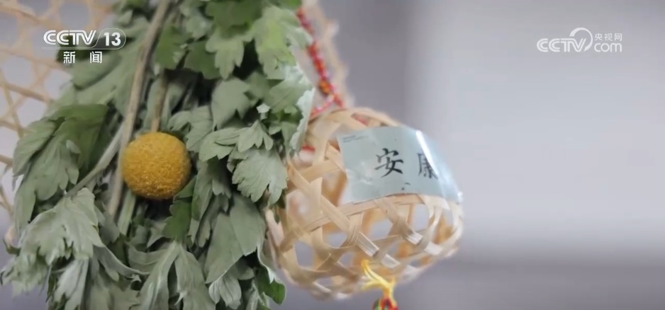 “端午经济”热气腾腾 中国龙舟文化“划”向全世界 “端午经济”热气腾腾 中国龙舟文化“划”向全世界