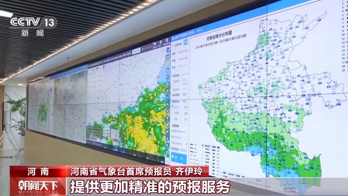 气象预报加上数字化监测 小麦“颗粒归仓”有了“最强大脑”