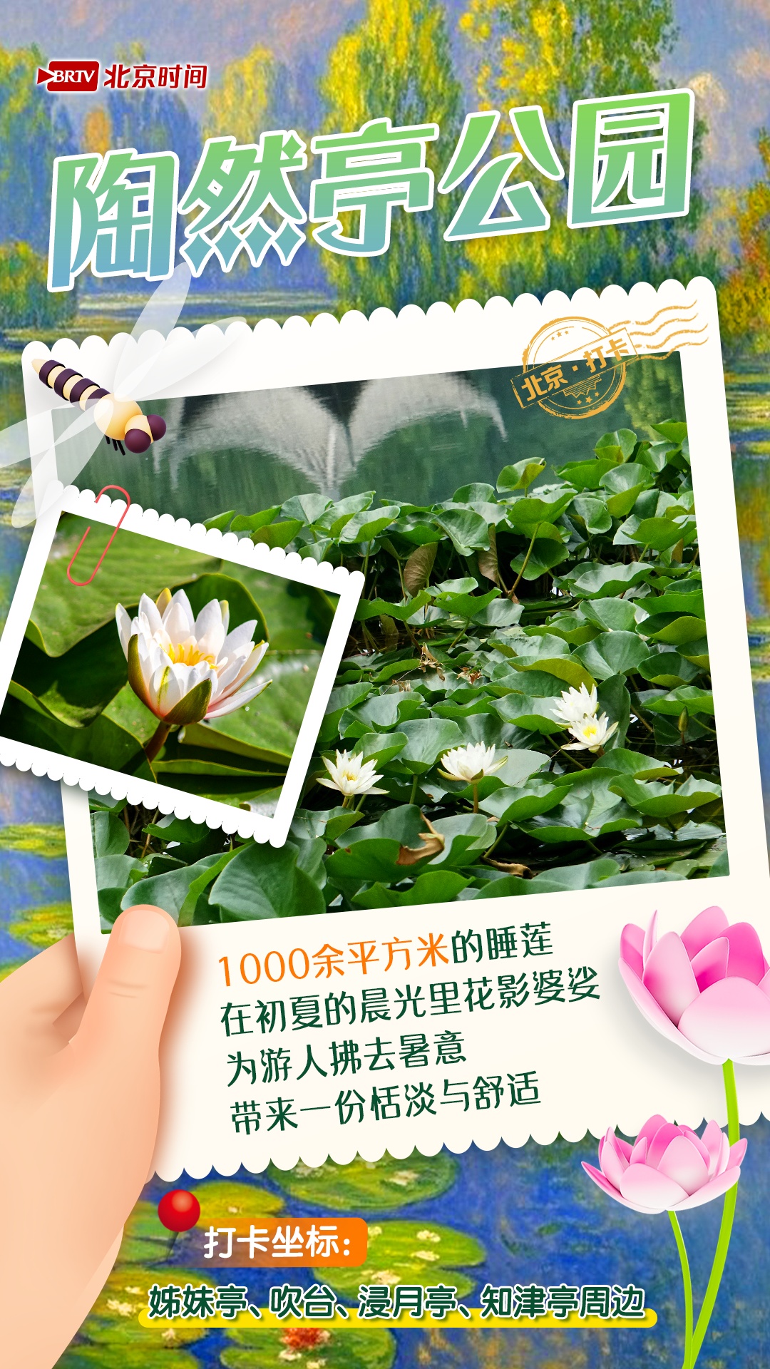 夏日限定!京城6大“莫奈花园”打卡指南来了 夏日限定!京城6大“莫奈花园”打卡指南来了