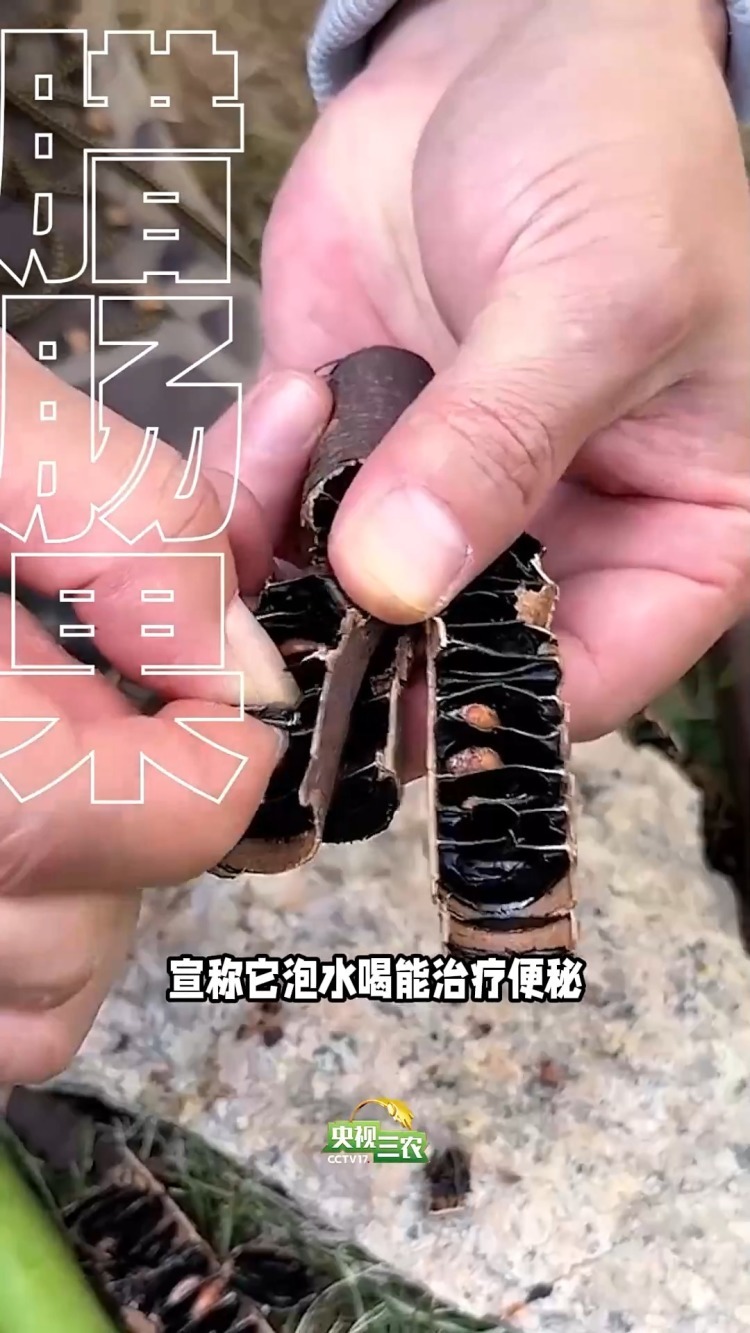 避坑指南:这几种“奇葩果” 买了就后悔 避坑指南:这几种“奇葩果” 买了就后悔