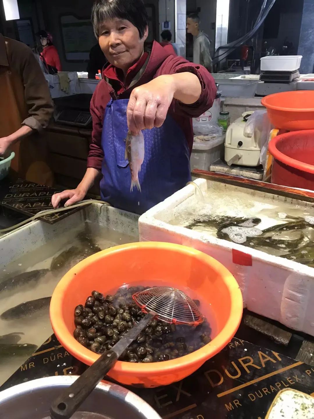 35元一斤!浙江一地特有的美味上市了,去晚了根本买不到 35元一斤!浙江一地特有的美味上市了,去晚了根本买不到