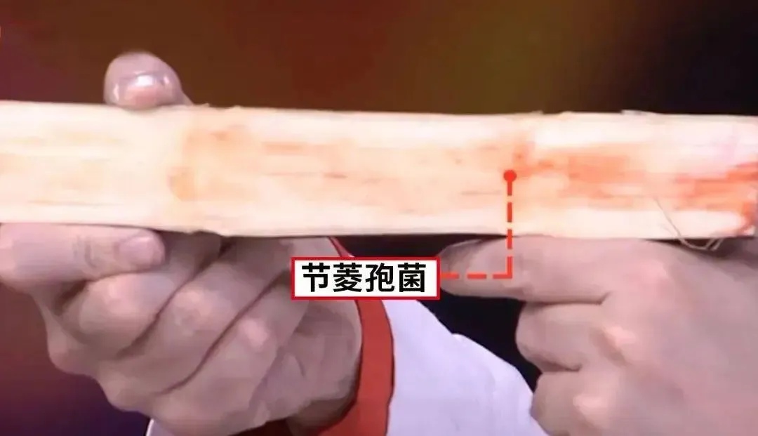 这些水果还能吃吗？鉴定指南，快转给咱爸妈！