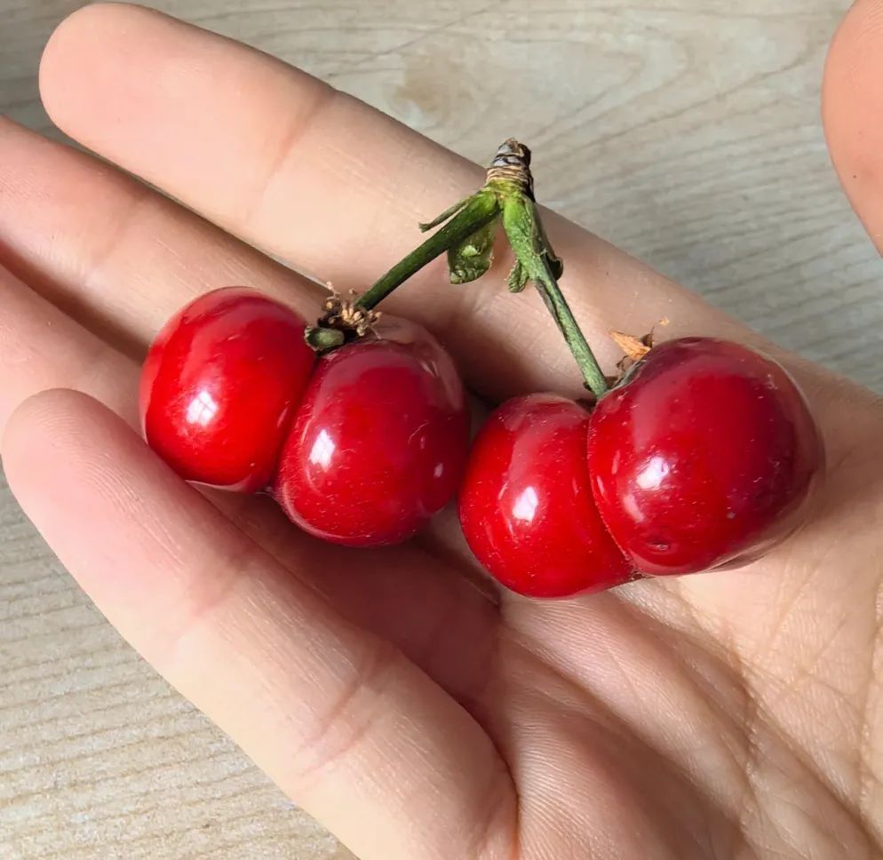 这些水果还能吃吗？鉴定指南，快转给咱爸妈！