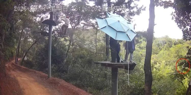停业整改!广西一景区有游客从高空坠落 停业整改!广西一景区有游客从高空坠落