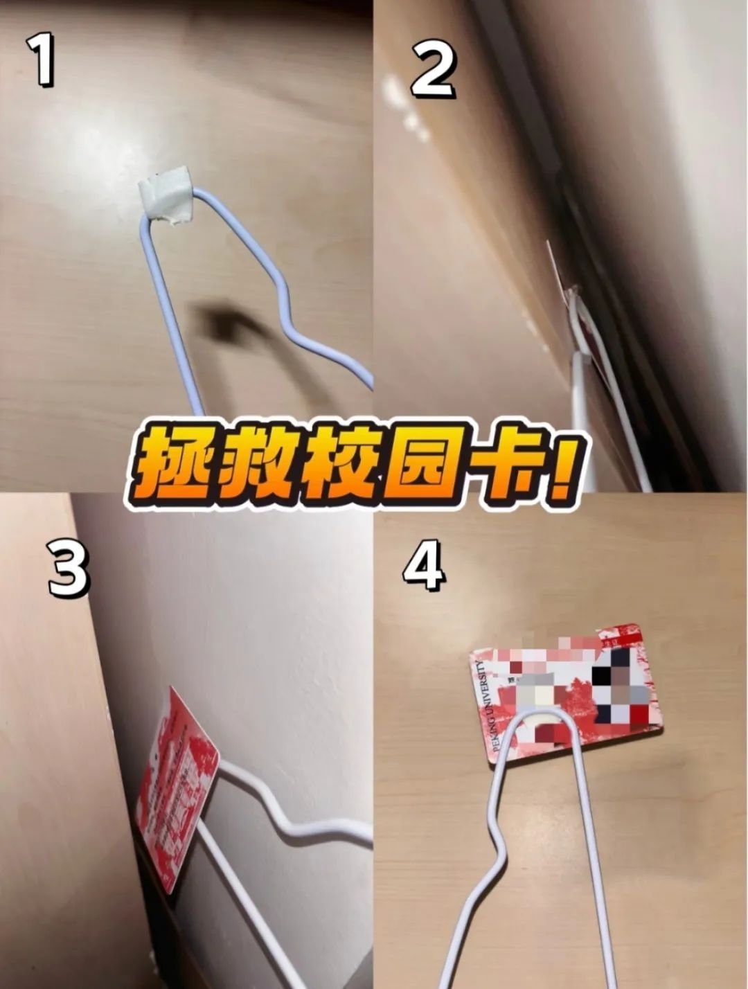 你的校园卡在包里吗?大学生:被喜鹊叼走了…… 你的校园卡在包里吗?大学生:被喜鹊叼走了……