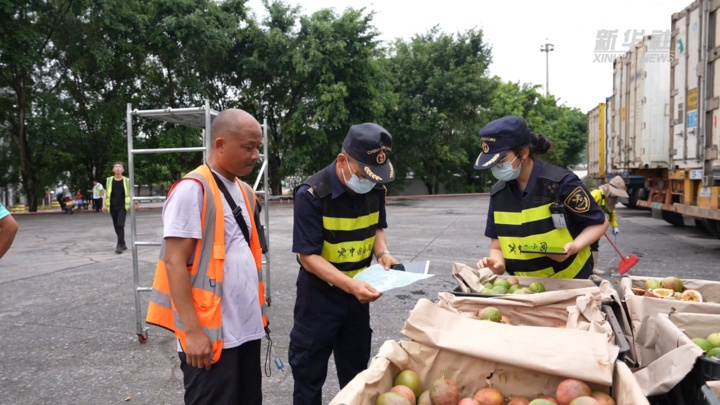 20吨百香果,来了! 20吨百香果,来了!
