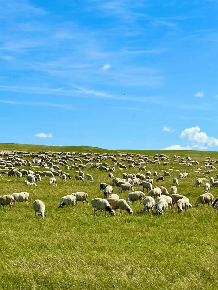 常州直飞,再添2条新航线! 常州直飞,再添2条新航线!
