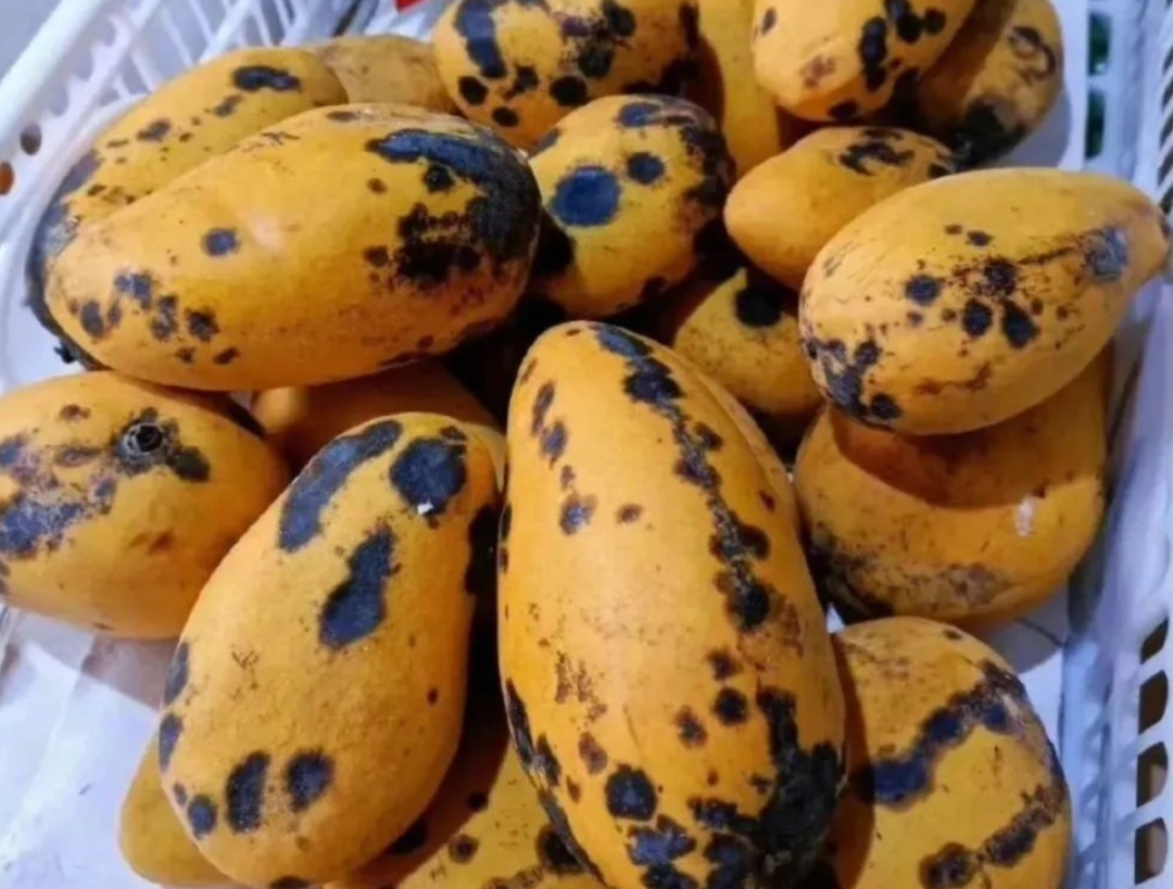 这些水果还能吃吗？鉴定指南，快转给咱爸妈！
