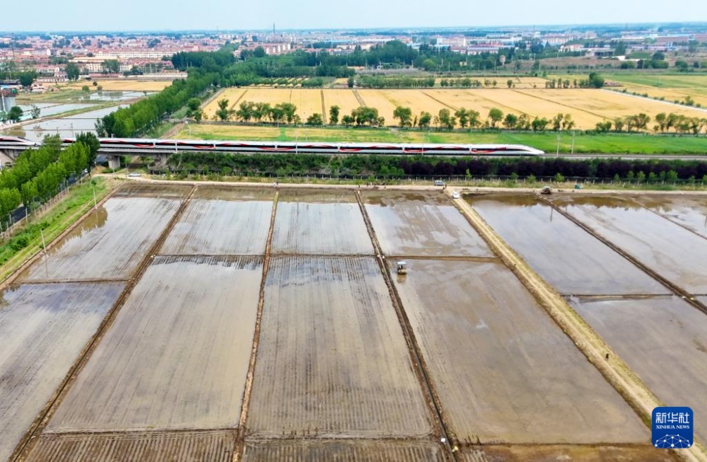 初夏时节插秧忙 初夏时节插秧忙