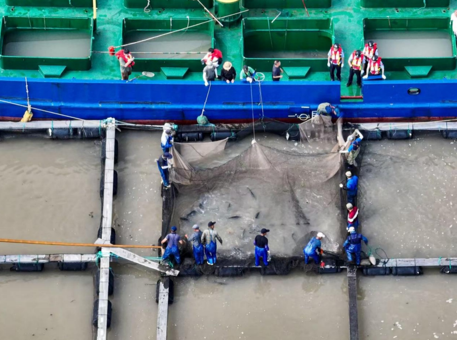 领“鲜”一步!宁波25吨“活水鱼”出口韩国 领“鲜”一步!宁波25吨“活水鱼”出口韩国