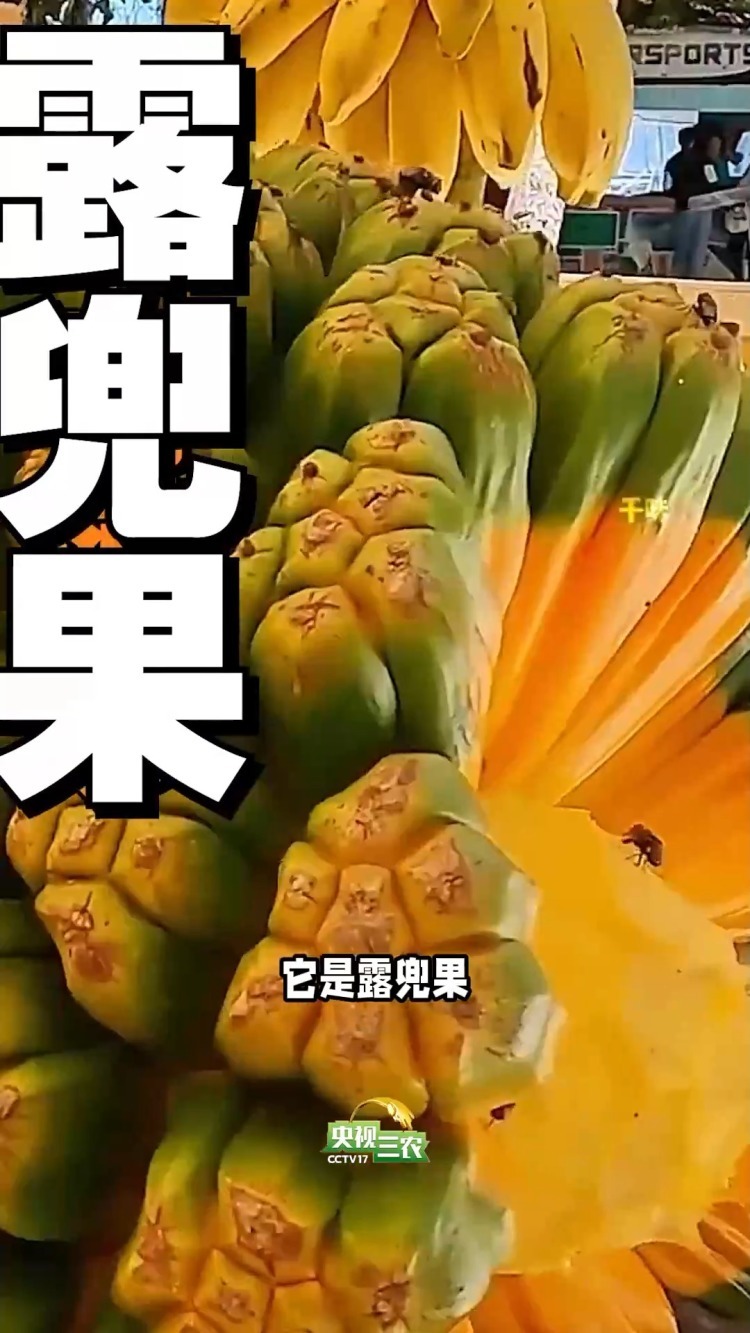 避坑指南:这几种“奇葩果” 买了就后悔 避坑指南:这几种“奇葩果” 买了就后悔