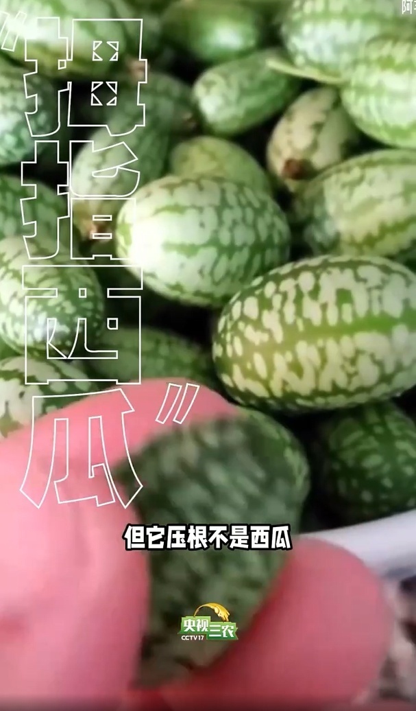 避坑指南:这几种“奇葩果” 买了就后悔 避坑指南:这几种“奇葩果” 买了就后悔