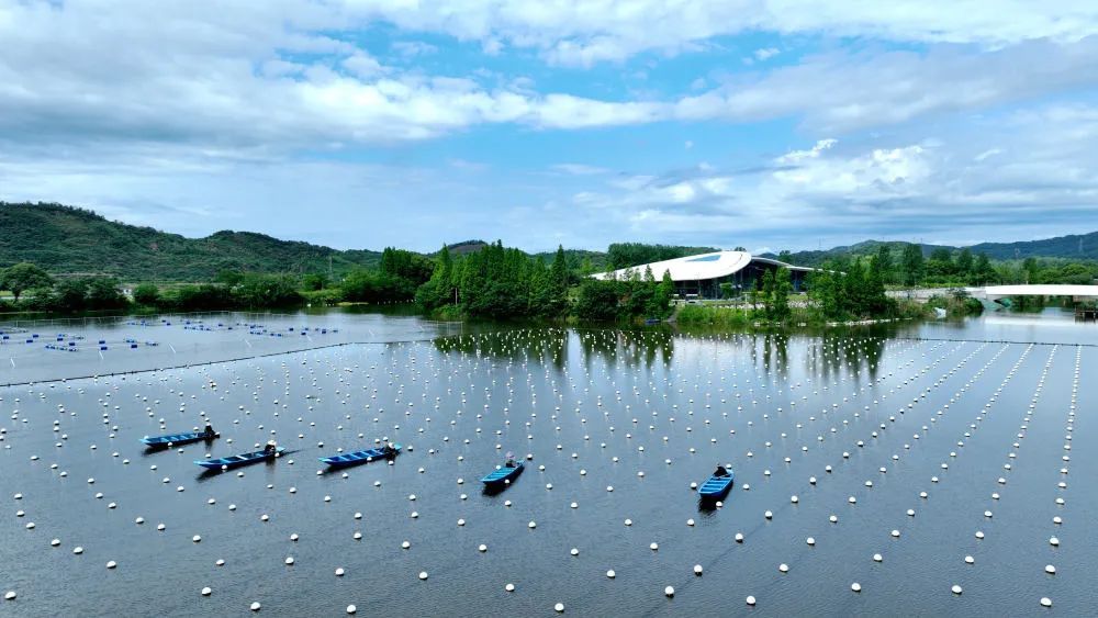 传承“活化石”,解题钥匙是→ 传承“活化石”,解题钥匙是→