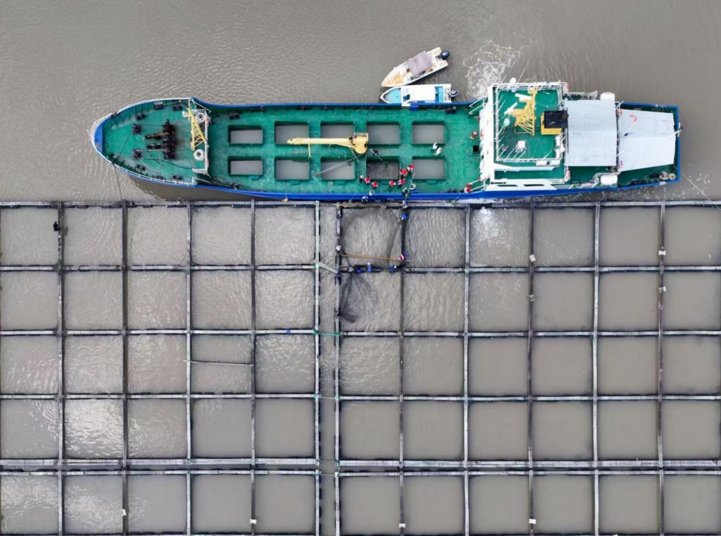 领“鲜”一步!宁波25吨“活水鱼”出口韩国 领“鲜”一步!宁波25吨“活水鱼”出口韩国