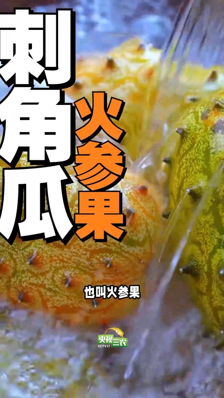 避坑指南:这几种“奇葩果” 买了就后悔 避坑指南:这几种“奇葩果” 买了就后悔