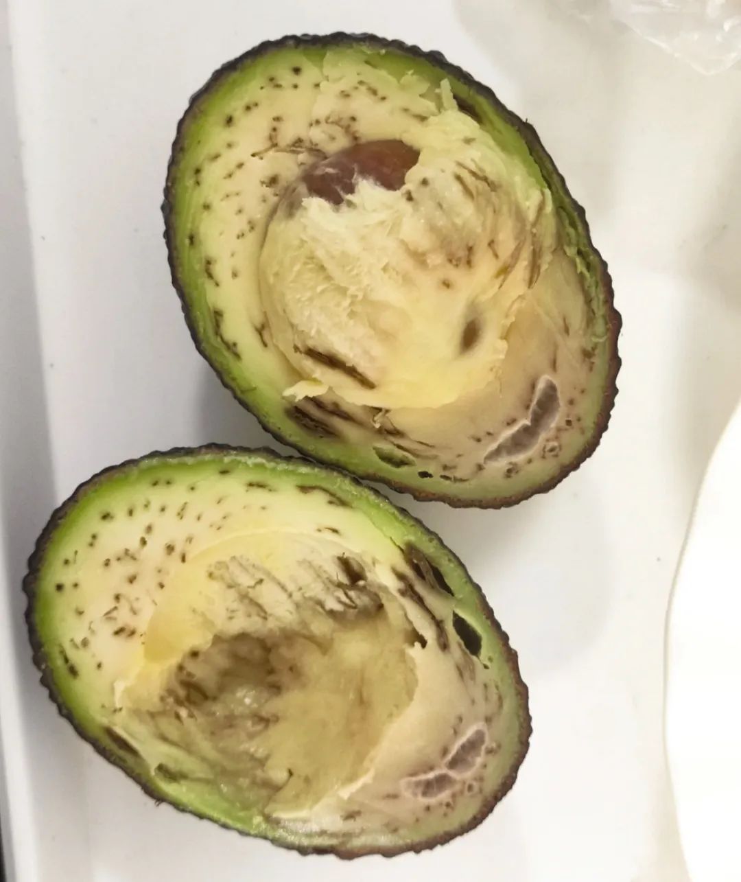 这些水果还能吃吗？鉴定指南，快转给咱爸妈！
