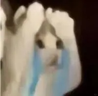 你的校园卡在包里吗?大学生:被喜鹊叼走了…… 你的校园卡在包里吗?大学生:被喜鹊叼走了……