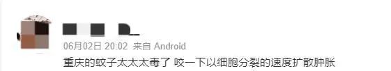 一到晚上嗡嗡吵？这几类人在它们眼里是“真香”，重庆网友哭诉：痒到崩溃