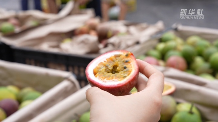 20吨百香果,来了! 20吨百香果,来了!