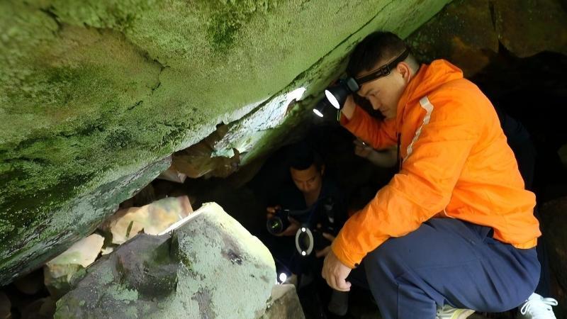 江西崇义：齐云山国家级自然保护区发现蜘蛛新种