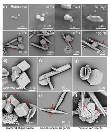 长期自己烧水喝的人和经常买桶装水喝的人,谁更健康?结果出乎意料 长期自己烧水喝的人和经常买桶装水喝的人,谁更健康?结果出乎意料