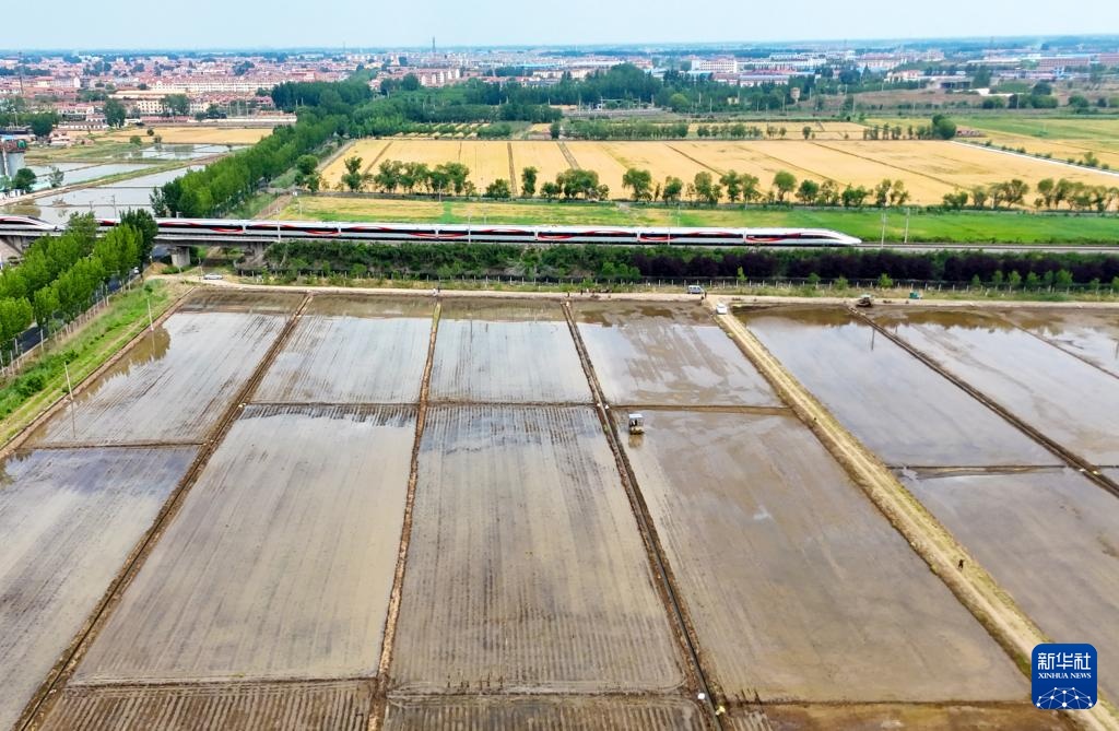 初夏时节插秧忙 初夏时节插秧忙