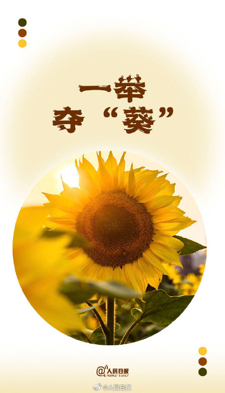 转存!你有一份夏日谐音祝福待查收 转存!你有一份夏日谐音祝福待查收