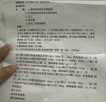 男友哽咽还原女友三亚被咬身亡过程
