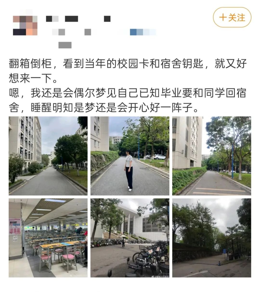 你的校园卡在包里吗?大学生:被喜鹊叼走了…… 你的校园卡在包里吗?大学生:被喜鹊叼走了……