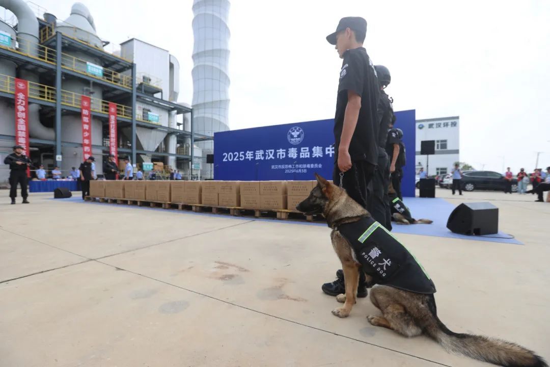 武汉公开集中销毁毒品 武汉公开集中销毁毒品