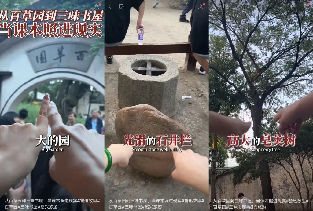 “鲁迅迪士尼”,又添新项目 “鲁迅迪士尼”,又添新项目